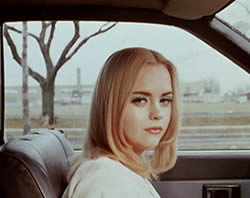  Buffalo 66 