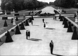 Funkcionalisticky symetrick� podoba l�ze�sk� zahrady v&nbsp;Loni v�Marienbadu (Alain Resnais, 1961) a&nbsp;geometricky st�i�en� ke�e zbaven� st�n�