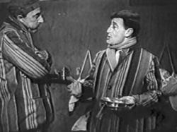 Dov'è la libertà...?