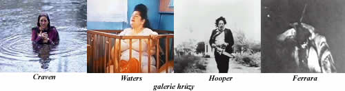 Galerie hrzy