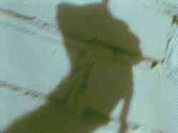 Anticipation of the Night