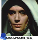 Black Narcissus